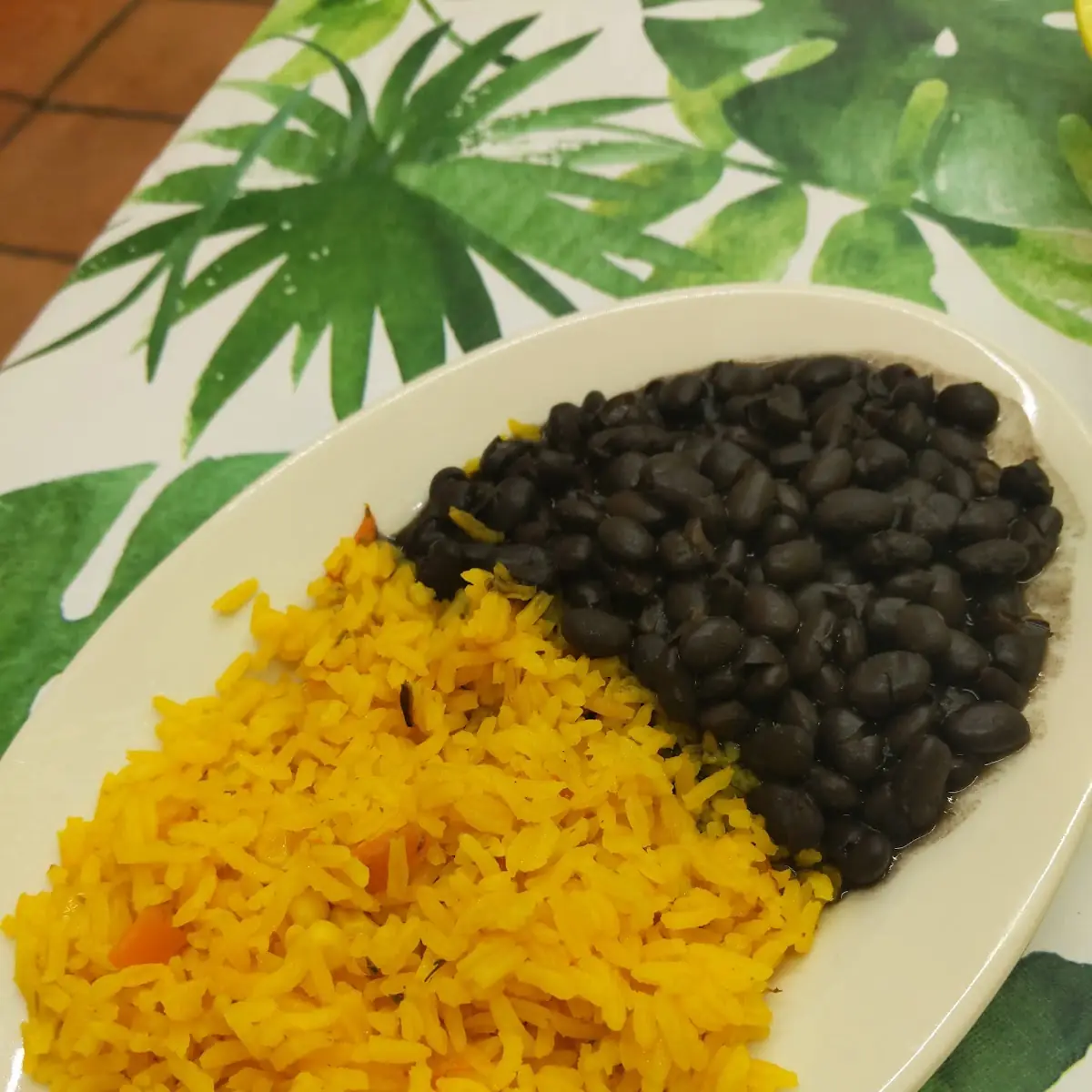 Adobo de Cerdo y Arroz / Pork Adobo & Rice