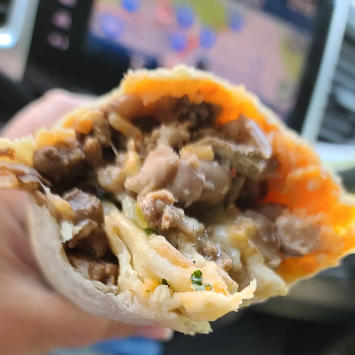 Carne Asada Burrito