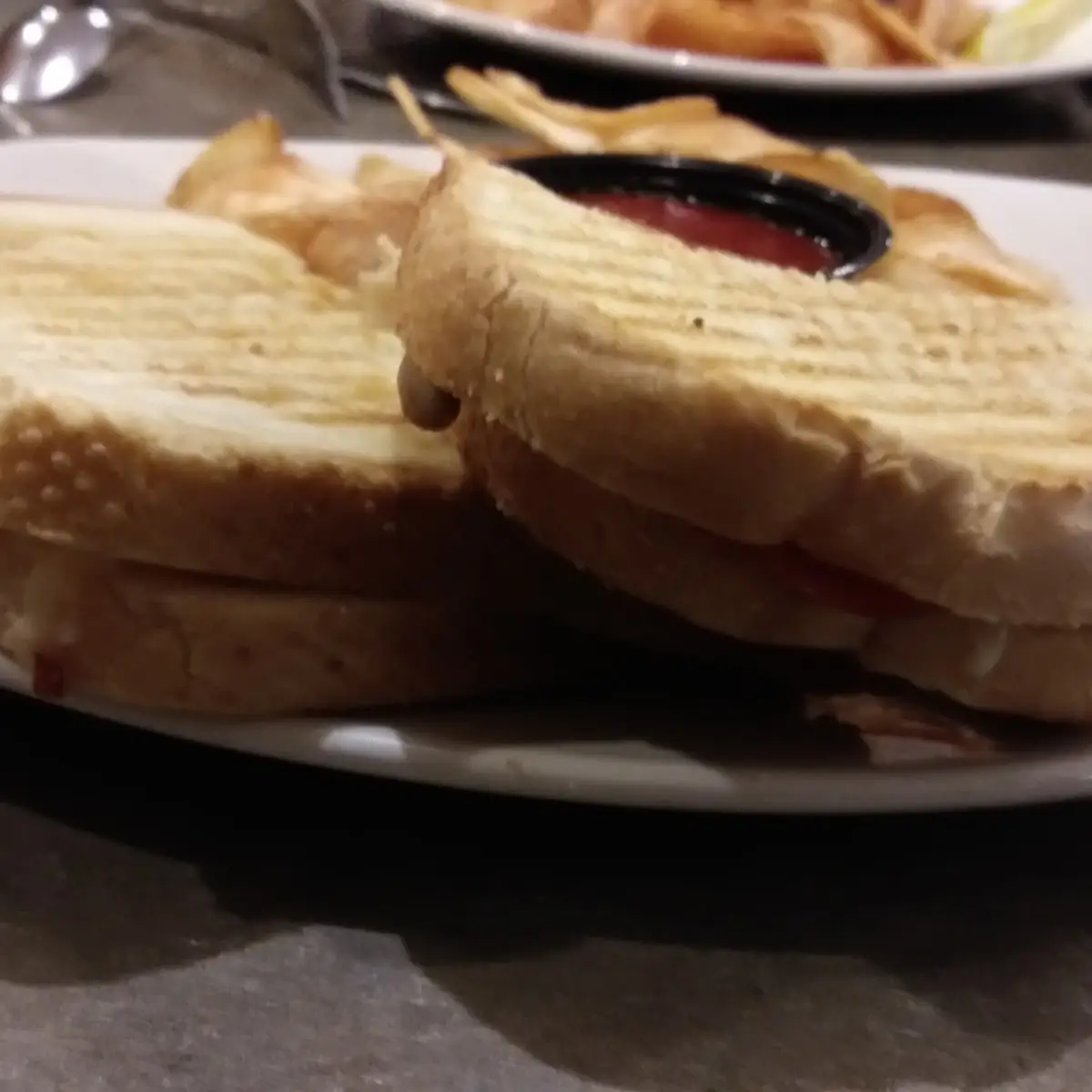 Pizza Panini