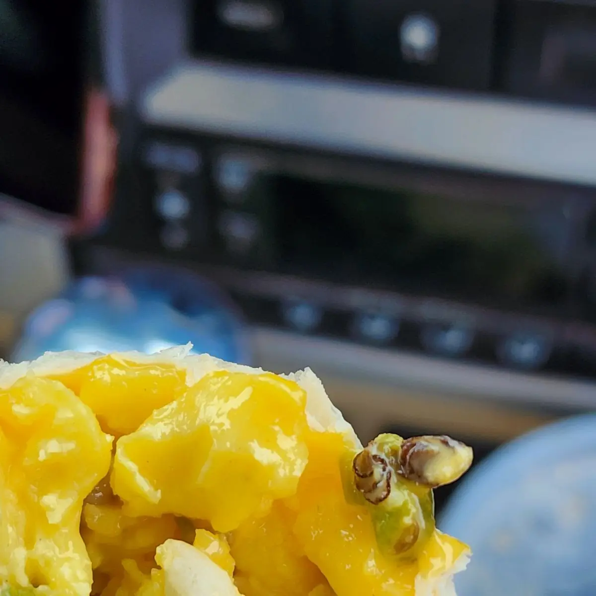 Spider-Egg-Cheese Breakfast Burrito