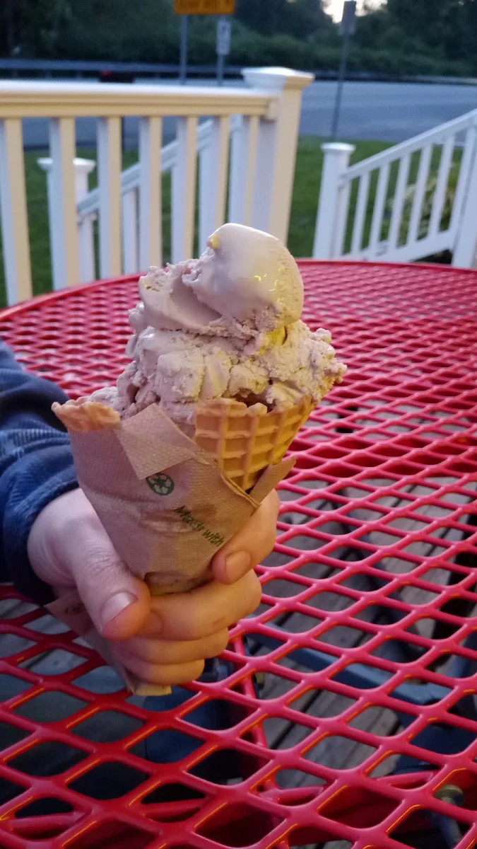 Maple Walnut