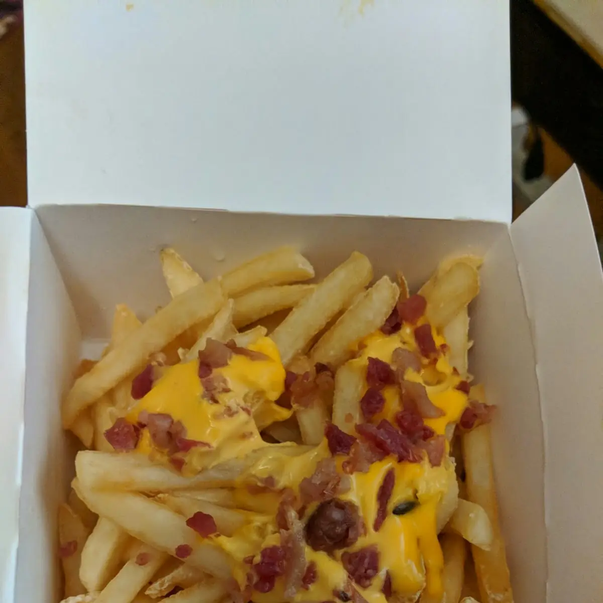 World Famous Fries