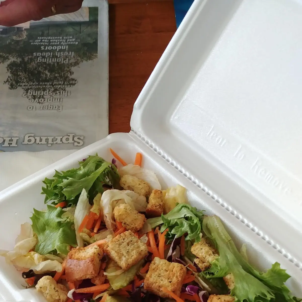 Salad