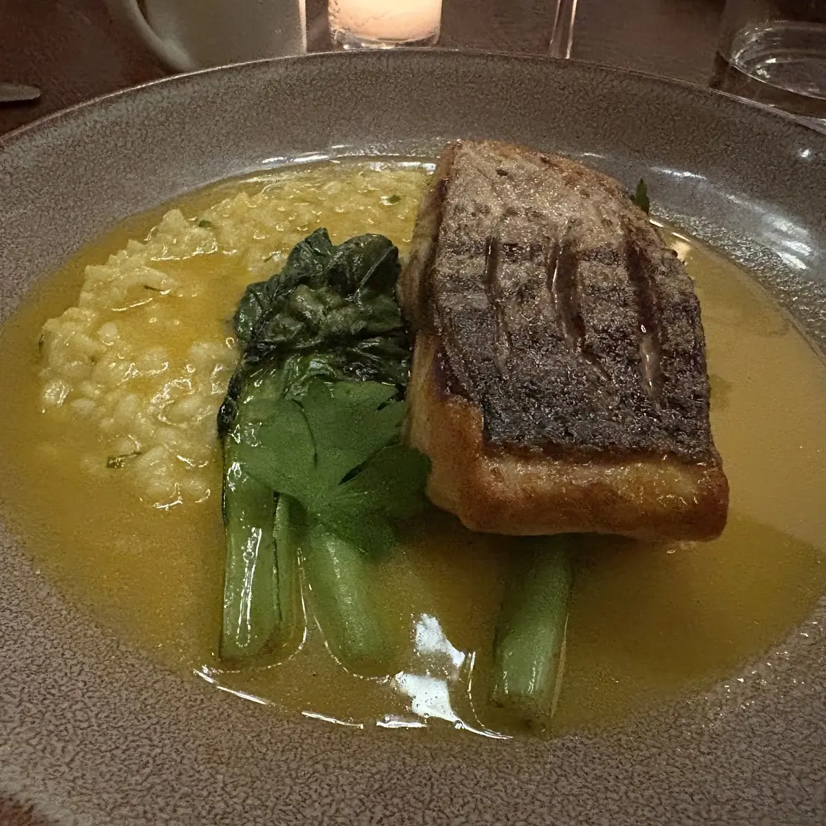 Striped Bass