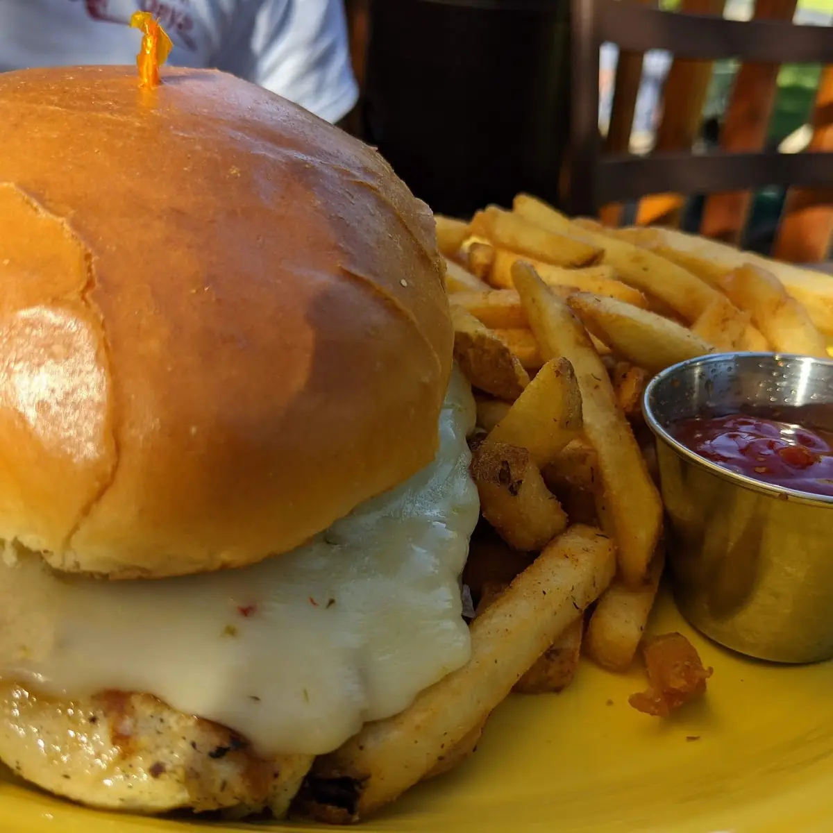 Chicken Burger and Fries