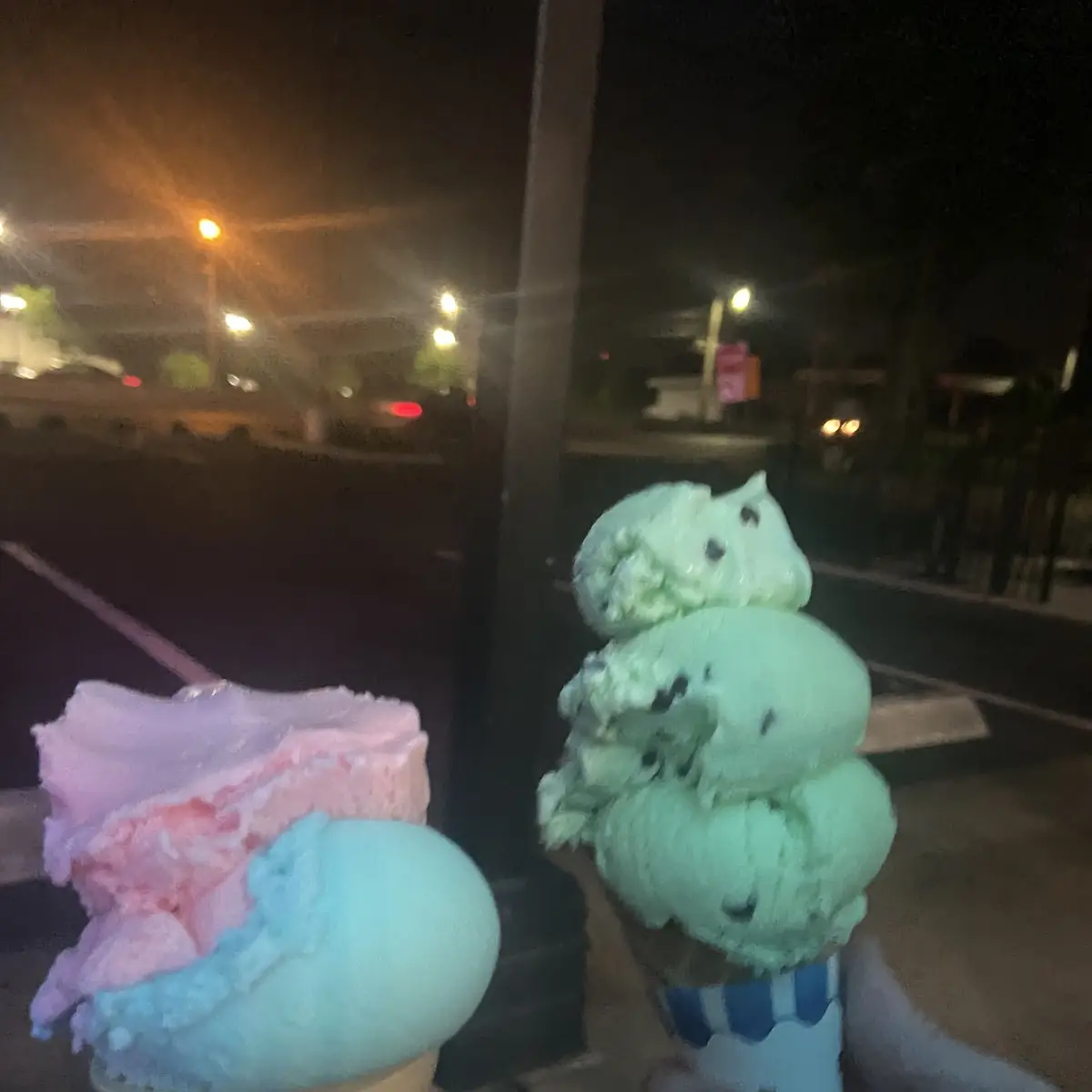 Mint Chocolate Chip Ice Cream