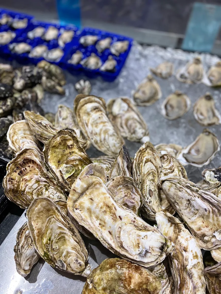 Syndey Rock Oyster, Maguro Bar - Glen Waverley