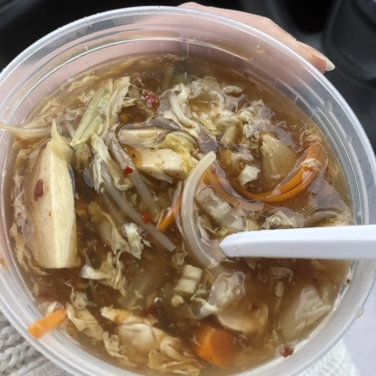 Hot and Sour Soup