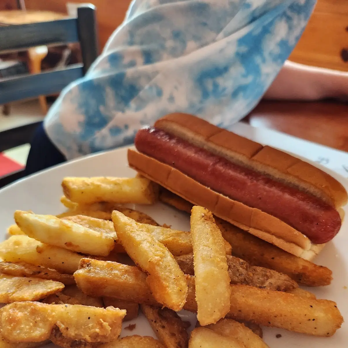 Hot Dog and Fries