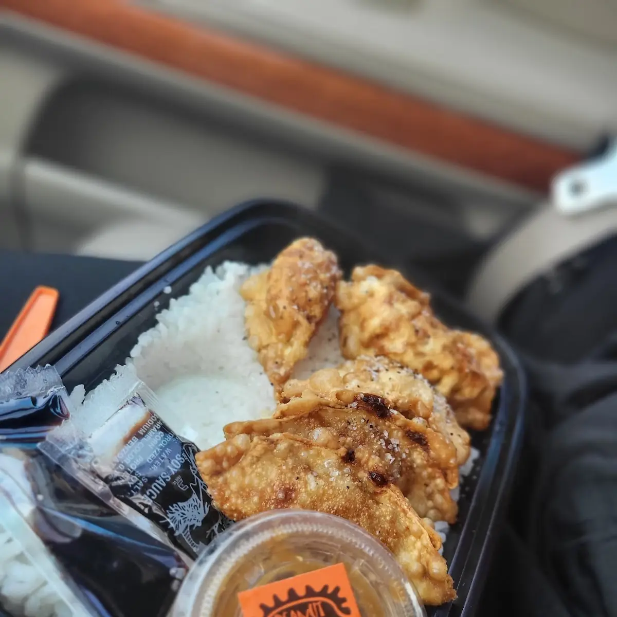 Crispy Chicken Potstickers