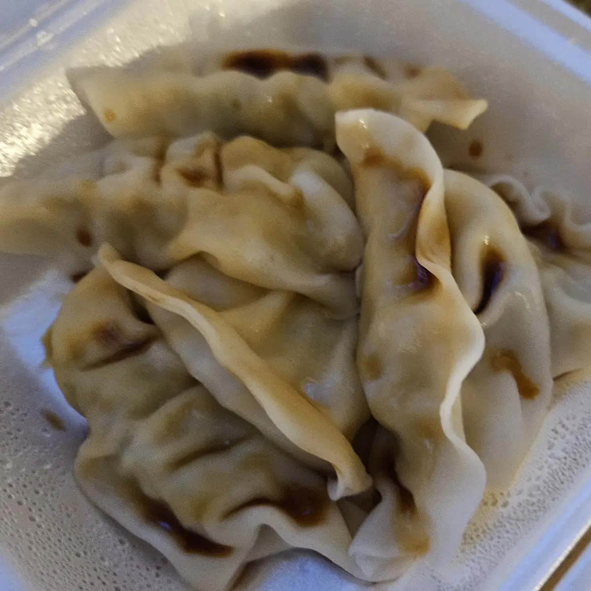 Steamed Dumplings