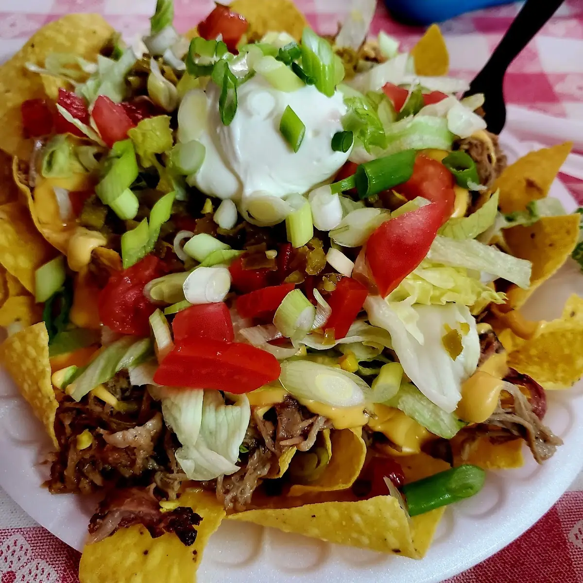 Pulled Pork Nachos