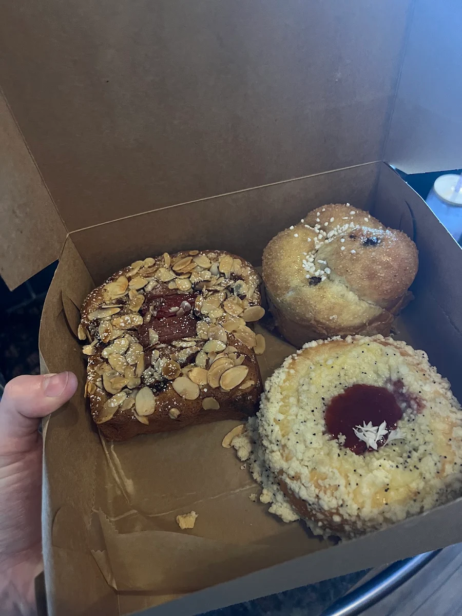 Blueberry Muffin