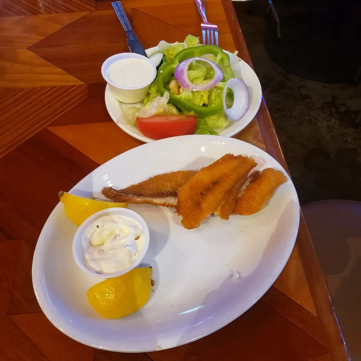 Fried Catfish and a Side Salad