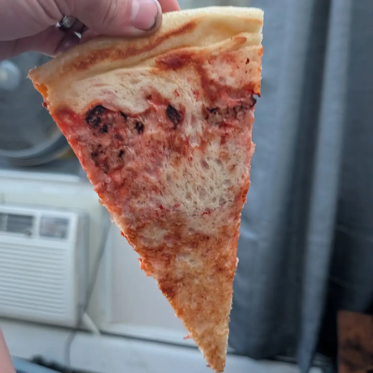 Slice of Pizza