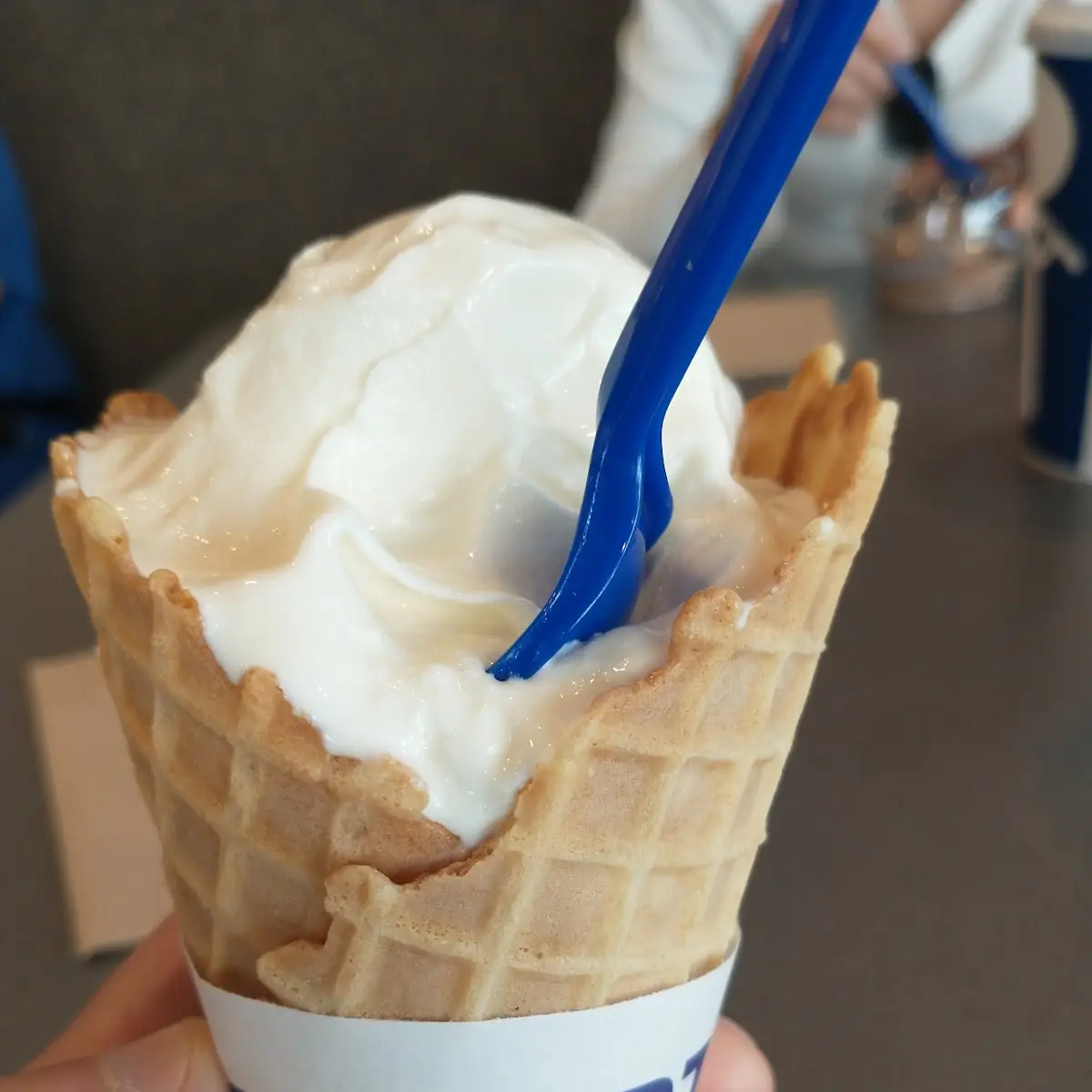 Vanilla Custard