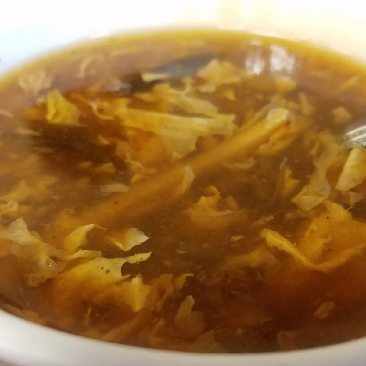 Hot and Sour Soup