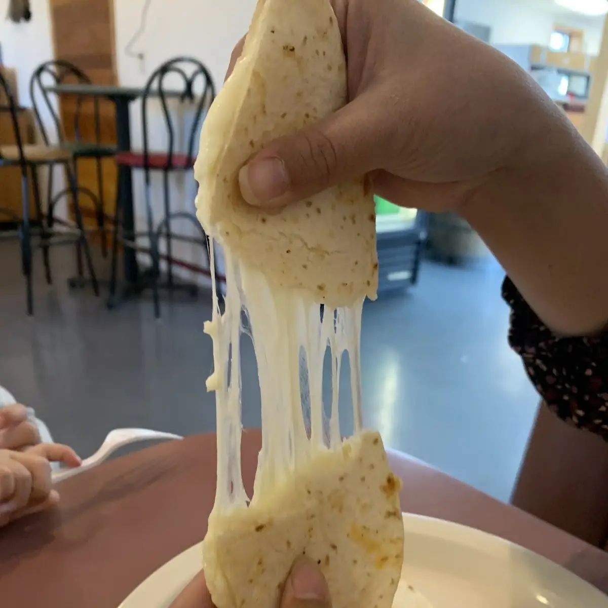 Cheese Quesadilla
