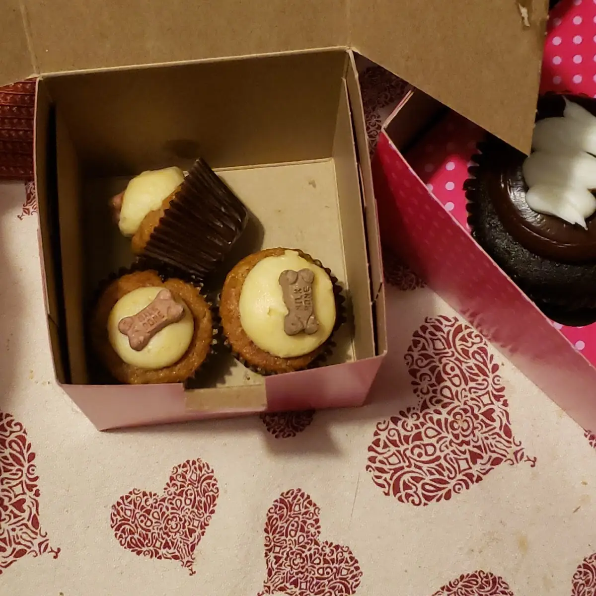 Carrot Cake and Peanutbutter Icing Pupcakes
