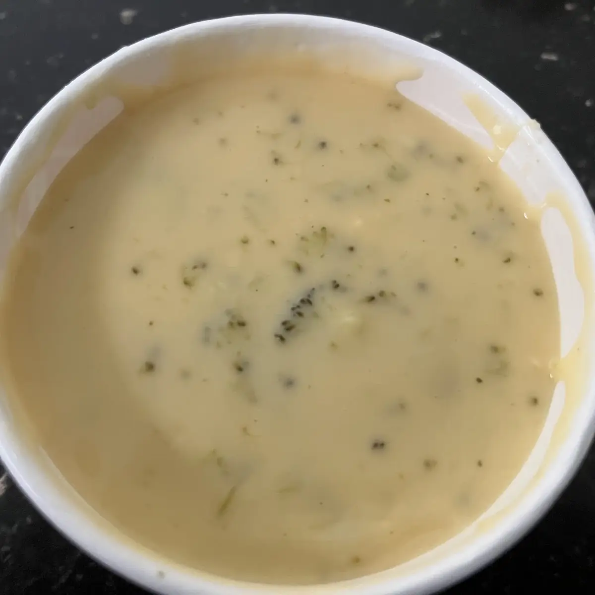 Broccoli and Cheddar Soup