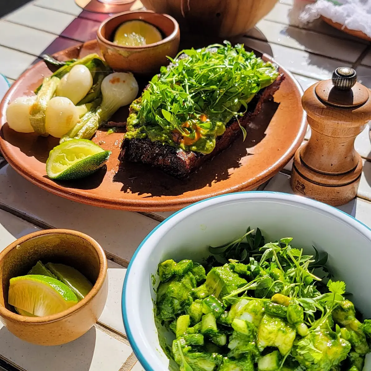 Carne Asada