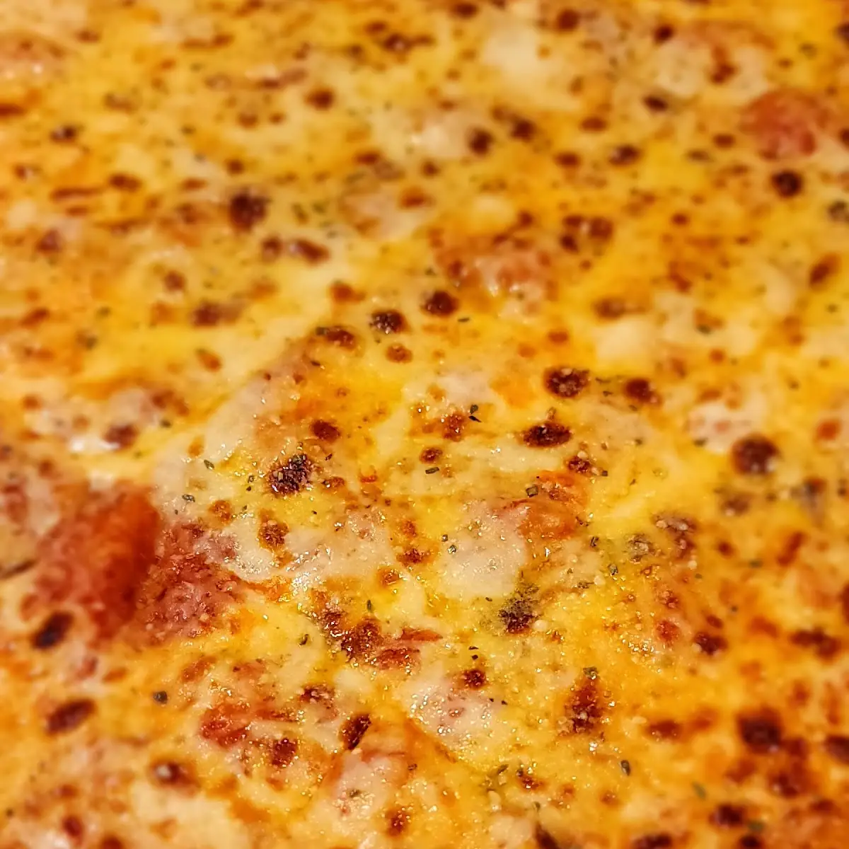 Cheese Pizza