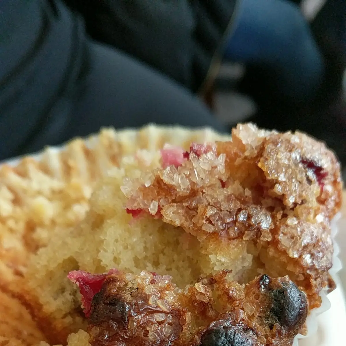 Blueberry Muffin