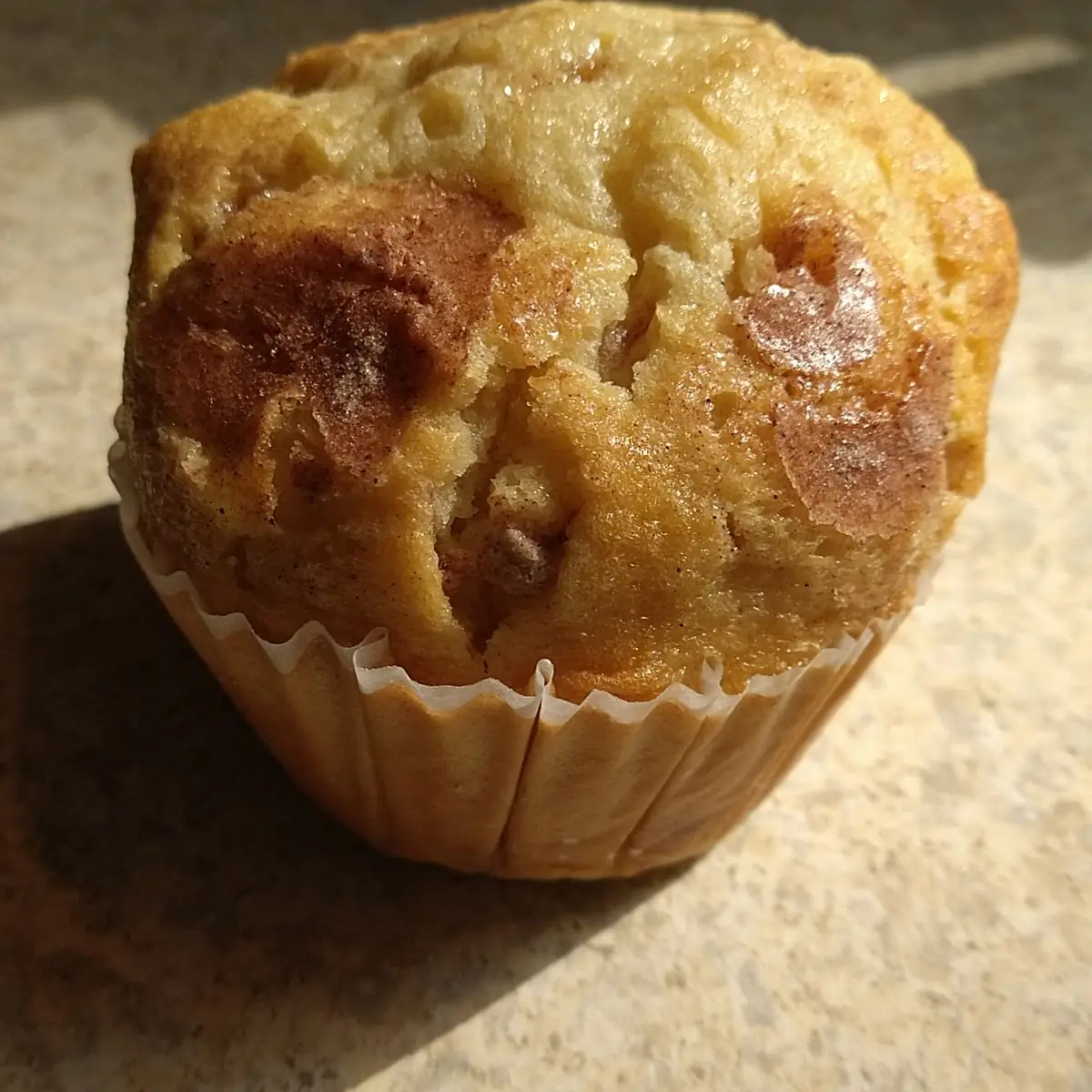 Cinnamon Chip Muffin