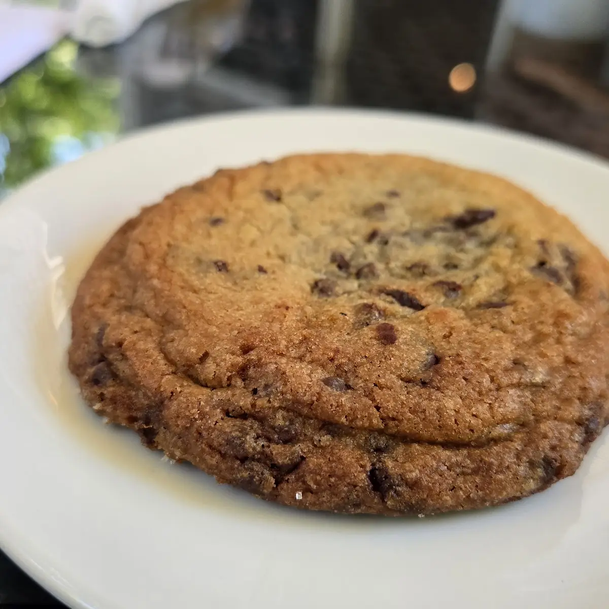 Chocolate Chip Cookie