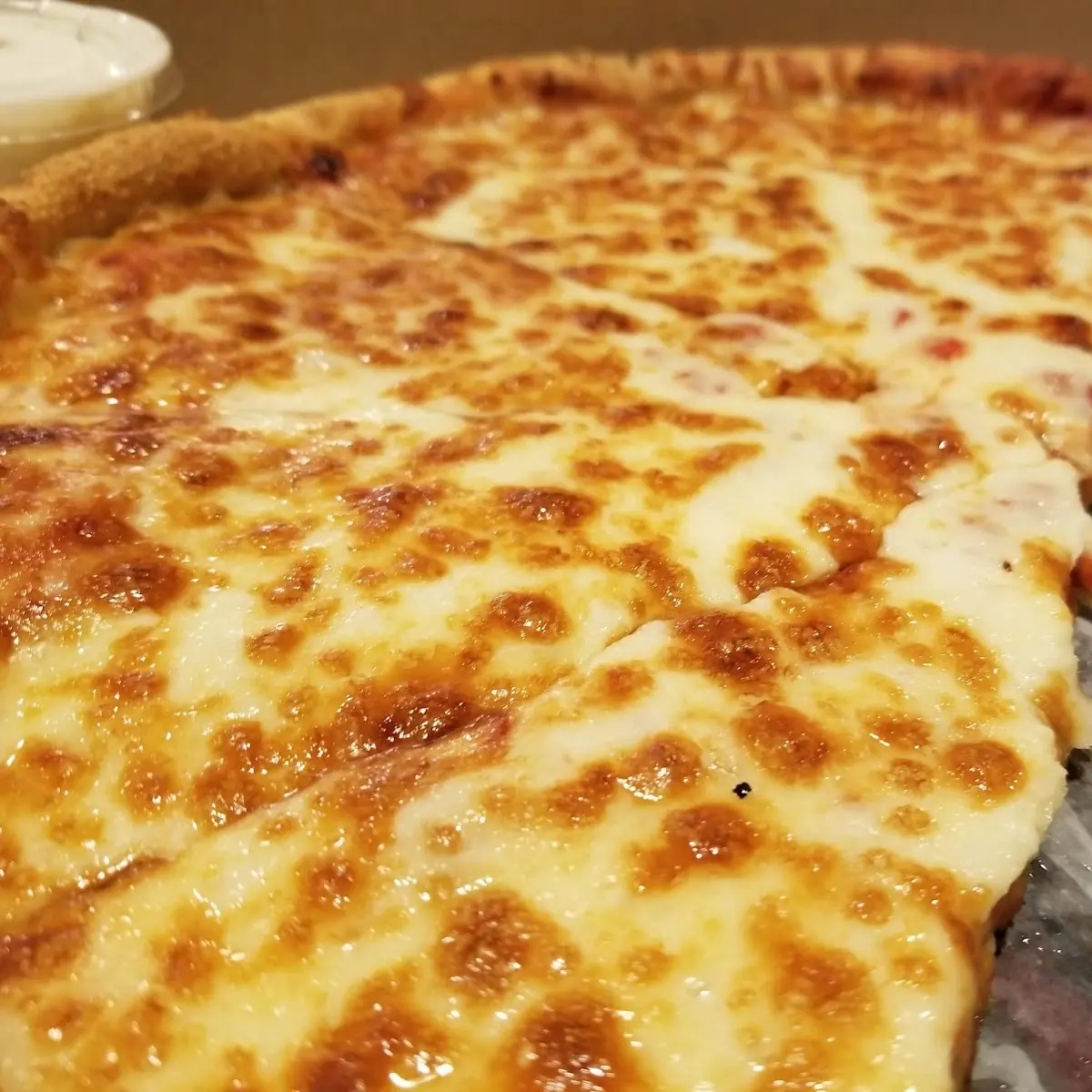Cheese Pizza Extra Cheese