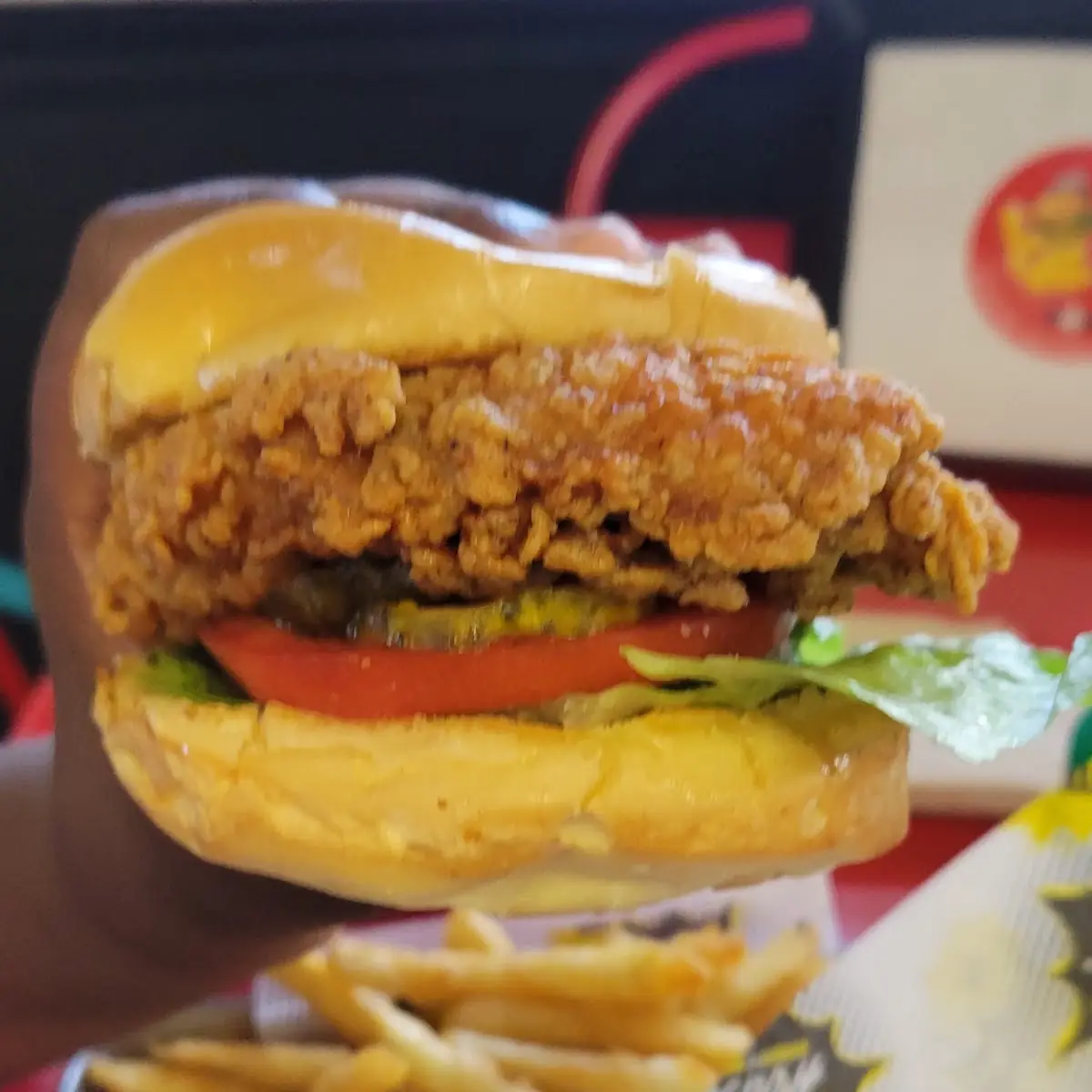 Chicken Burger Combo