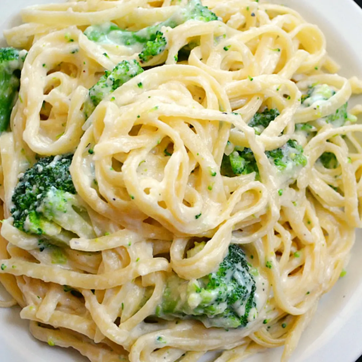 Broccoli & Chicken Alfredo Sauce