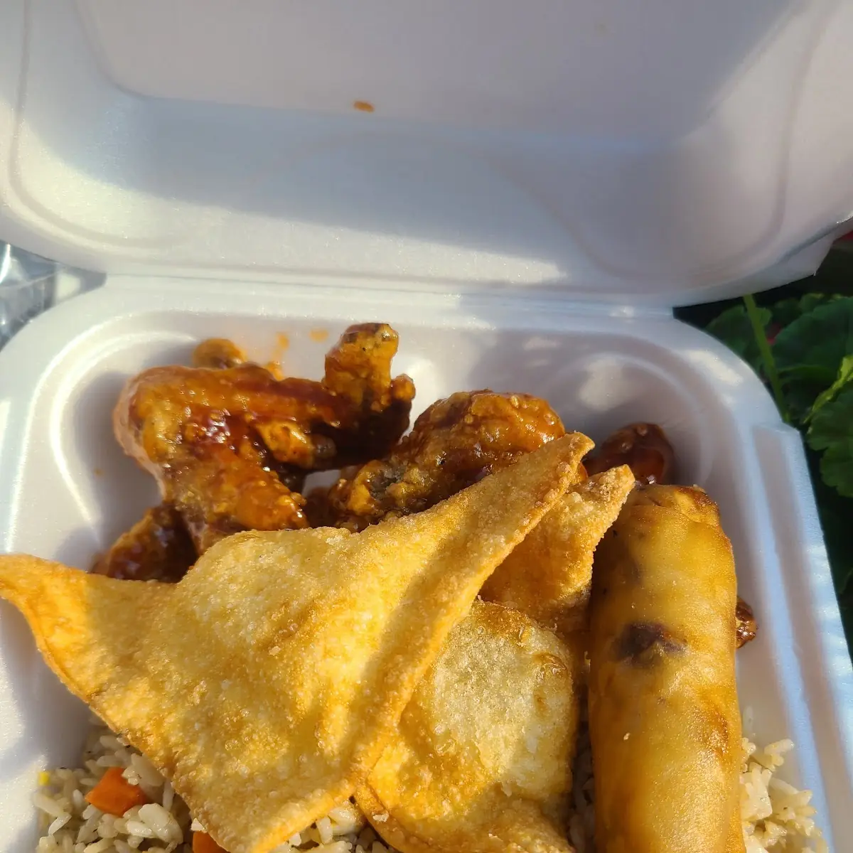 Spring Roll Fried Rice Cream Cheese Wonton