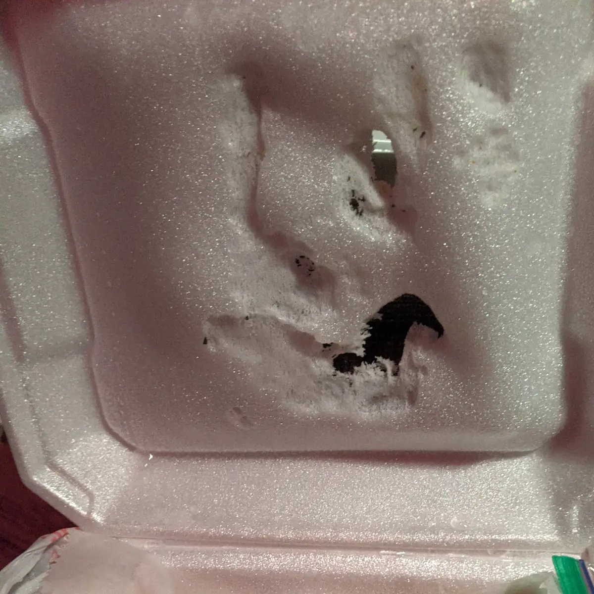 Wings Melted Through Box