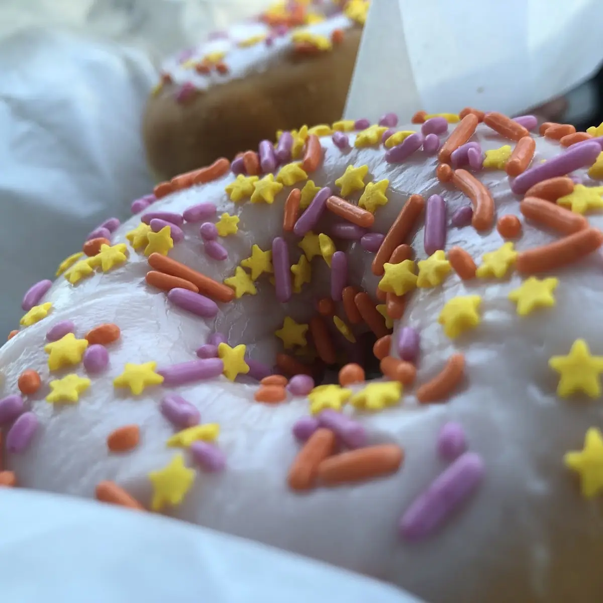 Doughnut