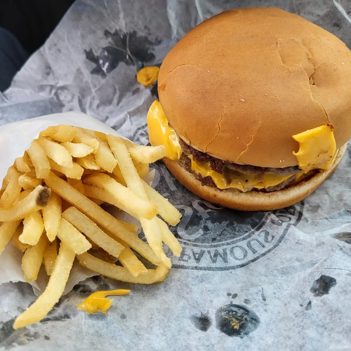 Steak Burger and Fries