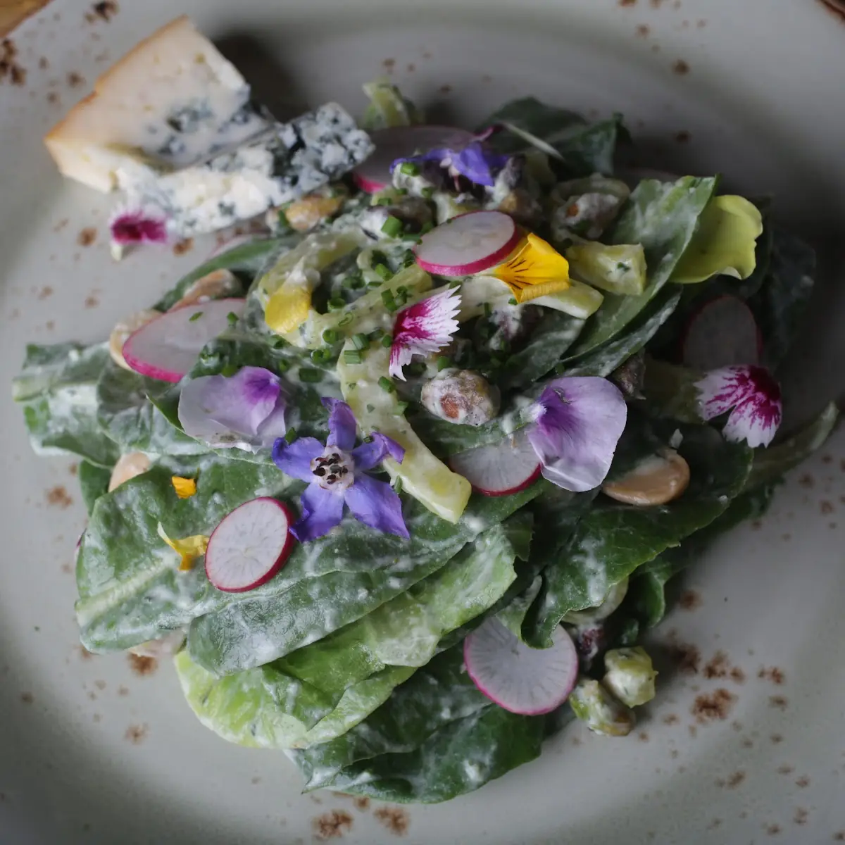 Beets & Burrata
