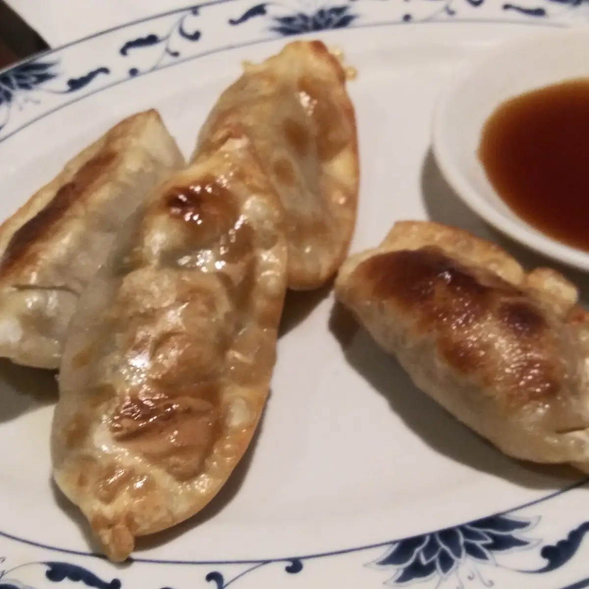 Pot Stickers 6