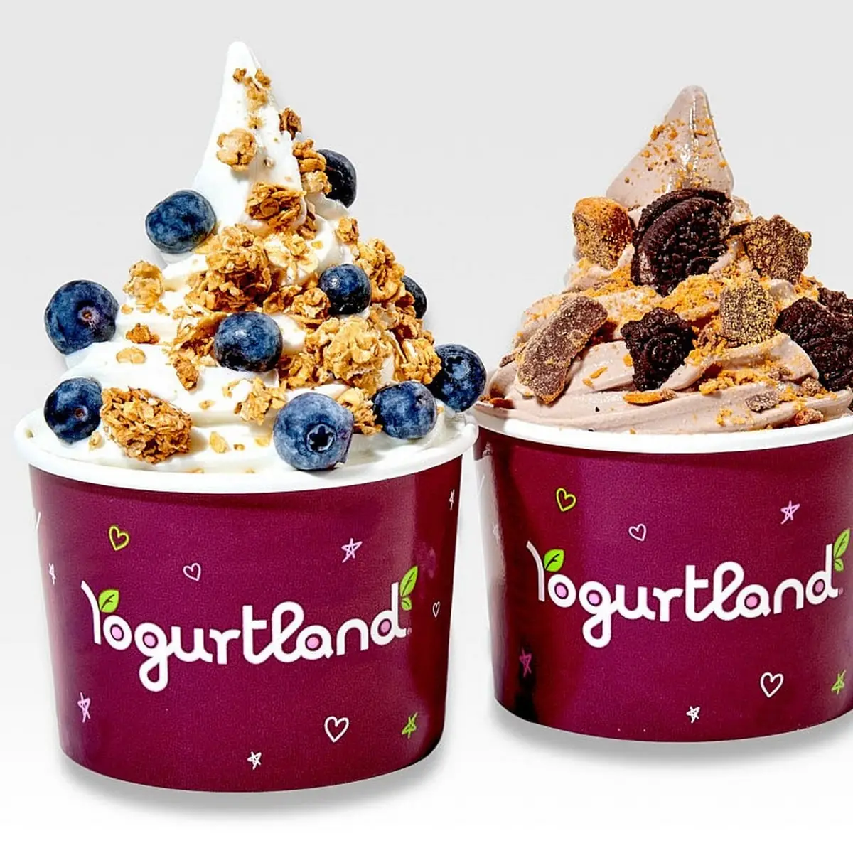 Frozen Yogurt
