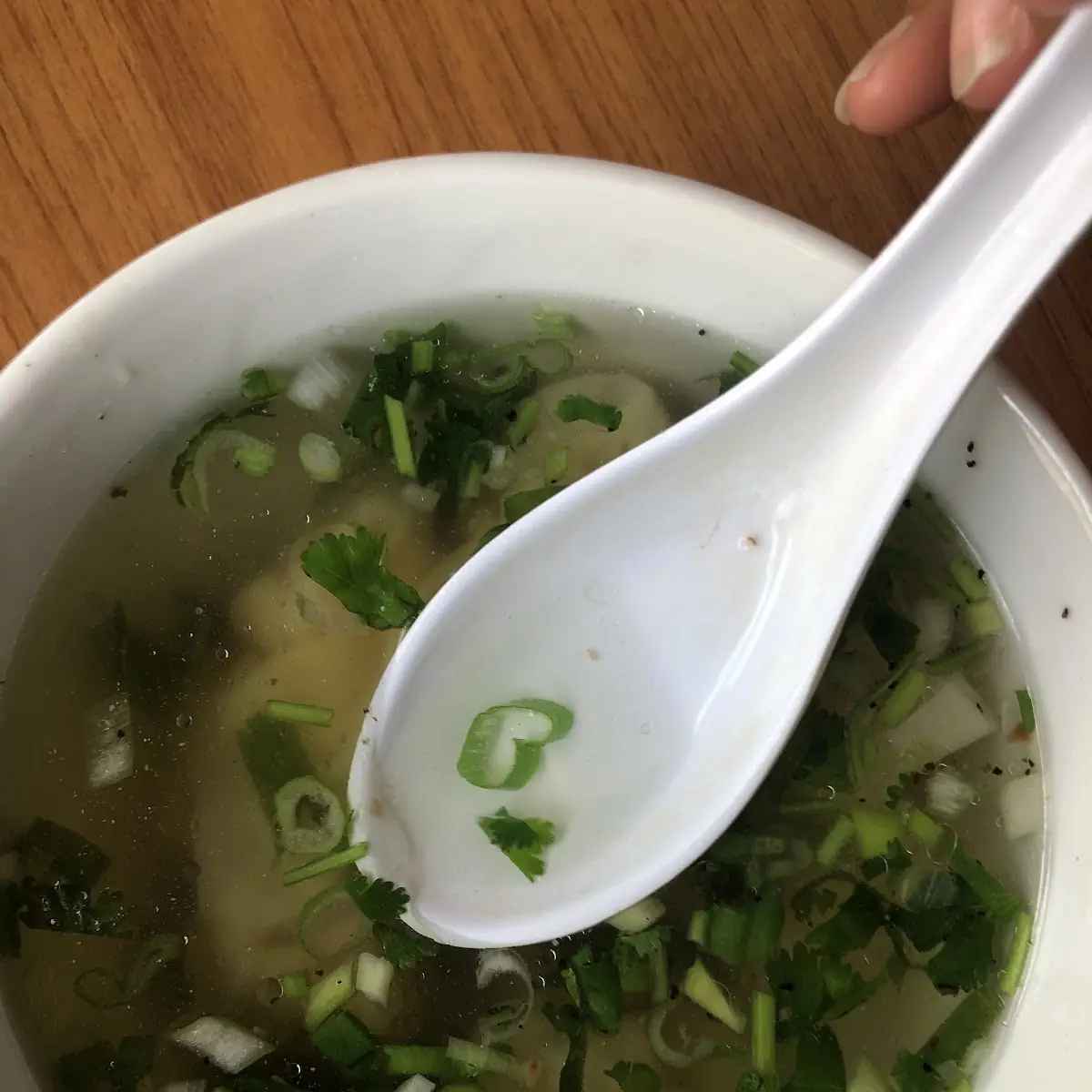 Wonton Soup