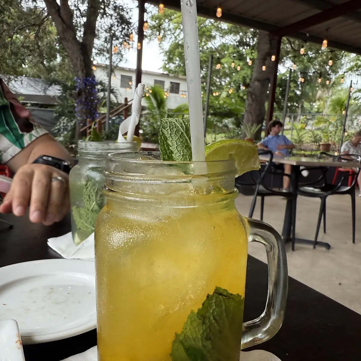 Passion Fruit Mojito