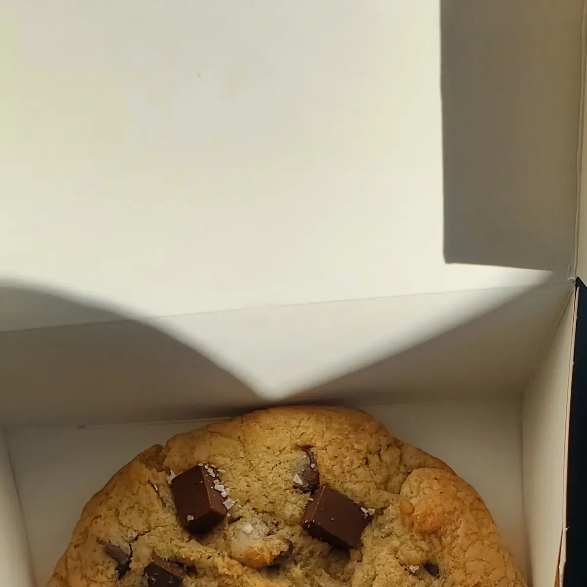 Chocolate Chip Cookie
