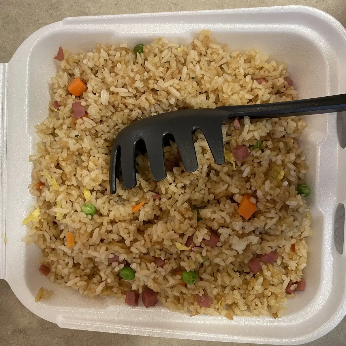 Large Fried Rice