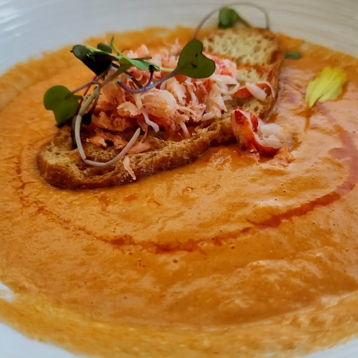 Lobster Bisque