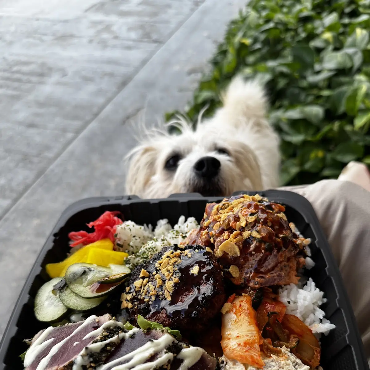 Seafood and Chicken Bento Box