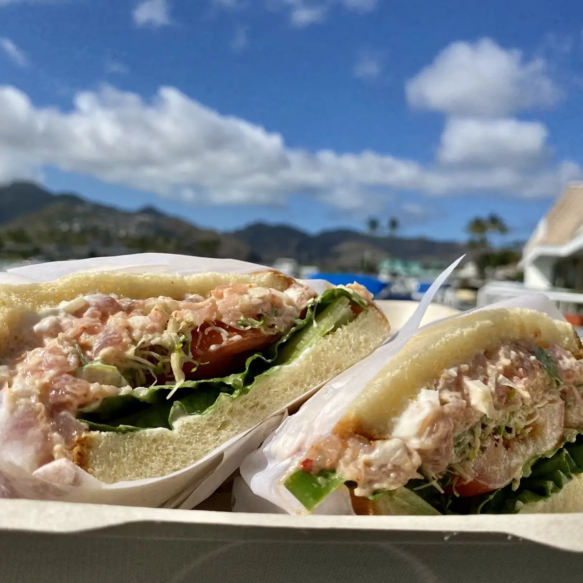 Spicy Tuna Sandwich