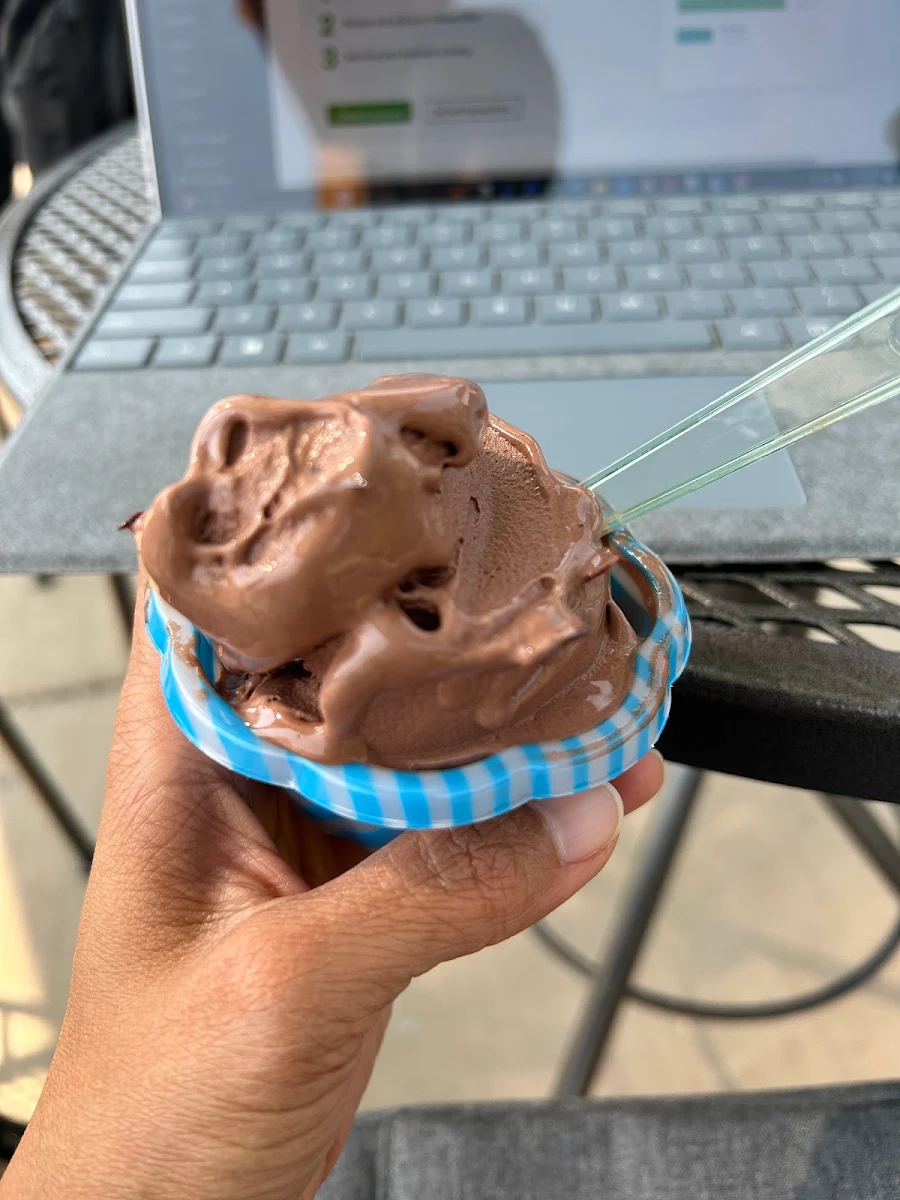 Chocolate Ice Cream