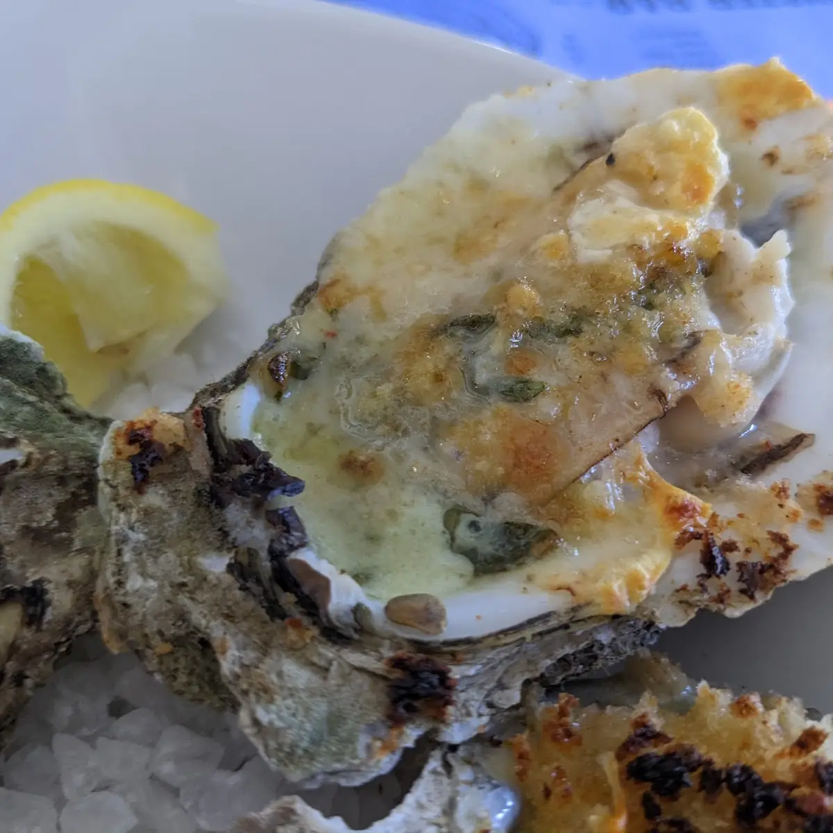 Raw Oysters