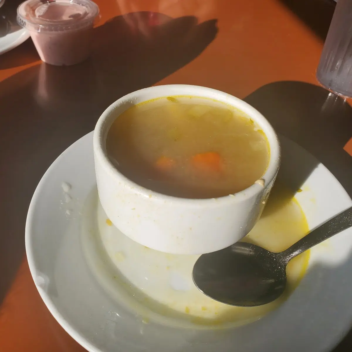 Chicken Noodle Soup