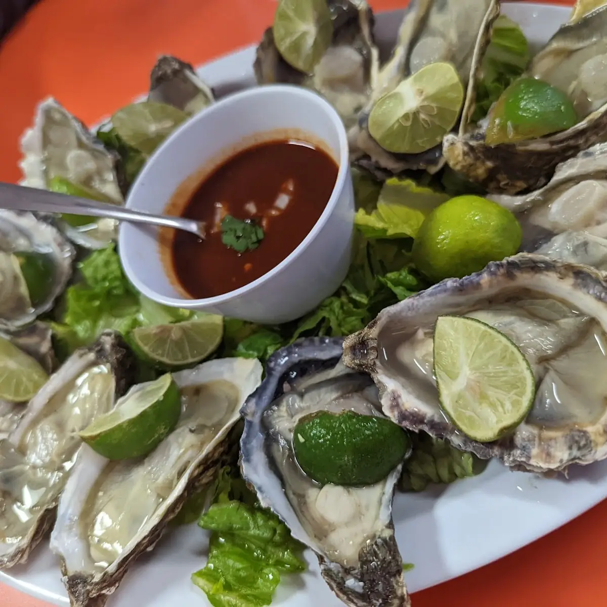 Oysters on the Half Shell